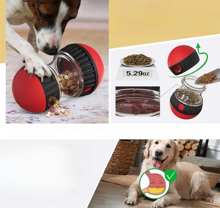 Make Mealtime Fun: The Interactive Dog Slow Feeder!