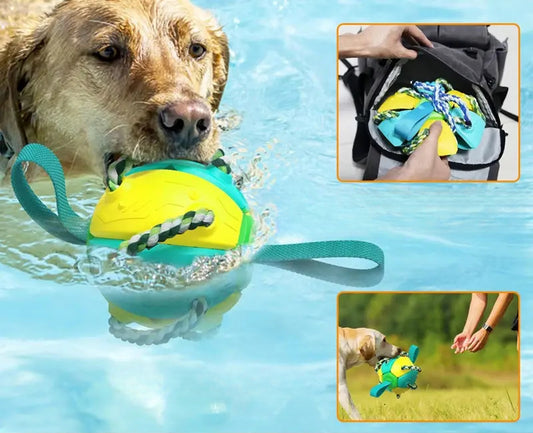 Unleash the Fun: Magic Ball 2in1 Multifunctional Outdoor Interactive Dog Toys!