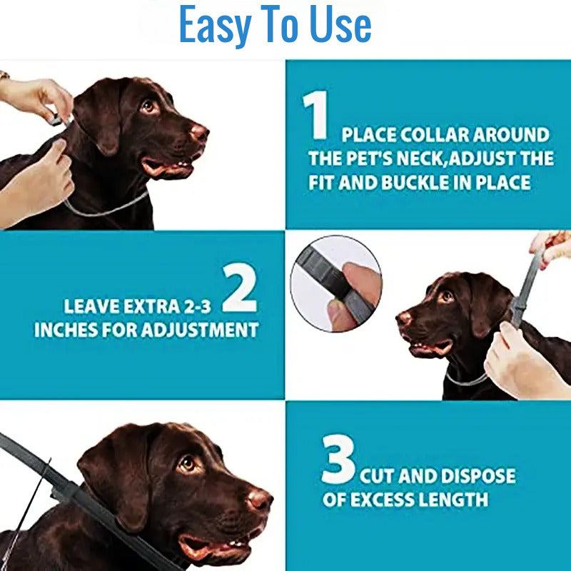 Anti-flea and tick Pet Collar - Deal Dynamo Shop