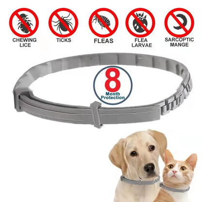 Anti-flea and tick Pet Collar - Deal Dynamo Shop