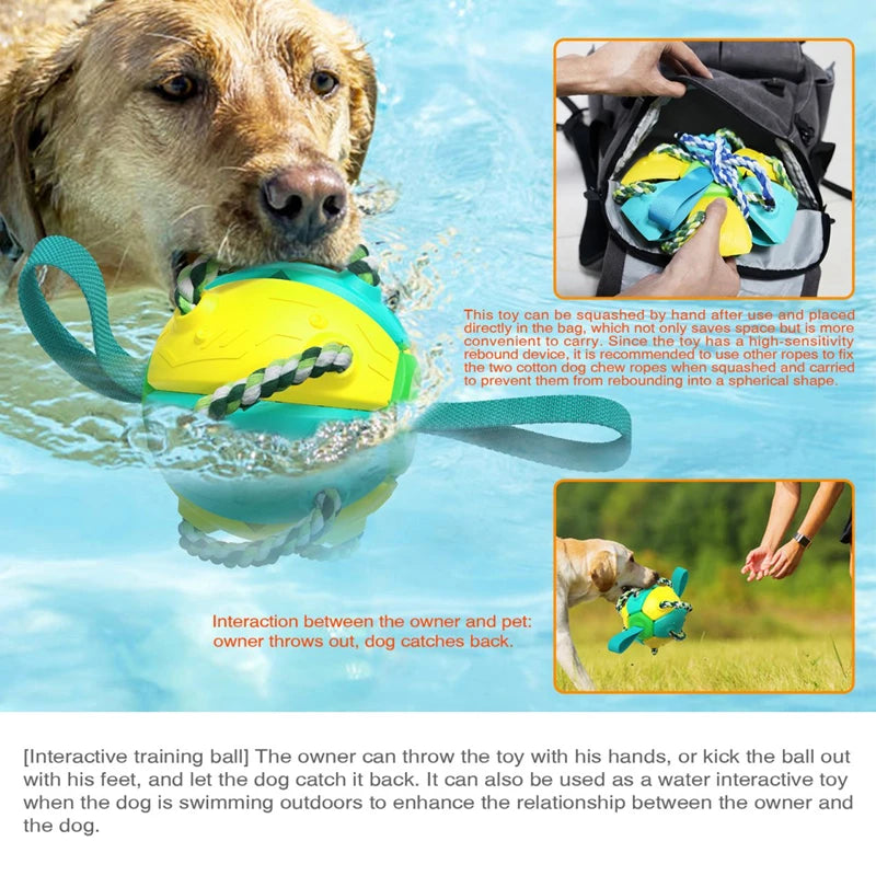 Magic Ball 2in1 Multifunctional Outdoor Interactive Dog Toys - Deal Dynamo Shop