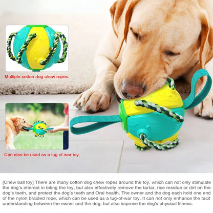 Magic Ball 2in1 Multifunctional Outdoor Interactive Dog Toys - Deal Dynamo Shop